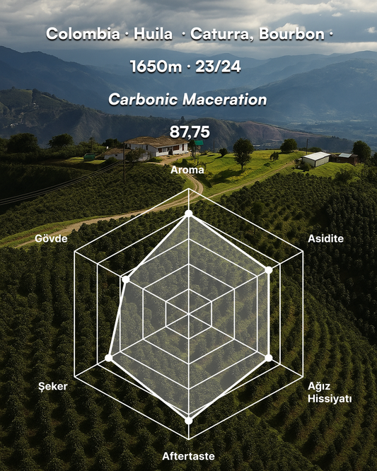 Rodrigo Sánchez El Progreso - Colombia