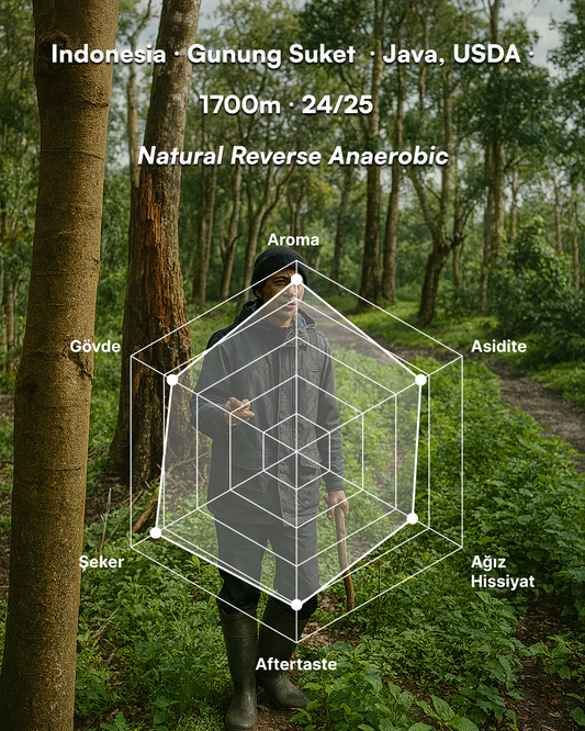 Mas Iyan Marabela - Indonesia