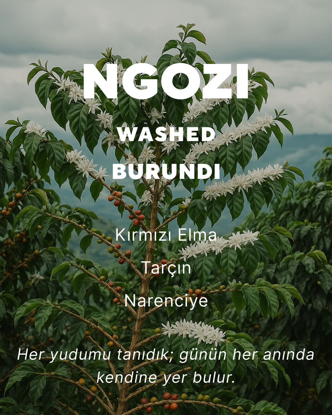 Ngozi - Burundi