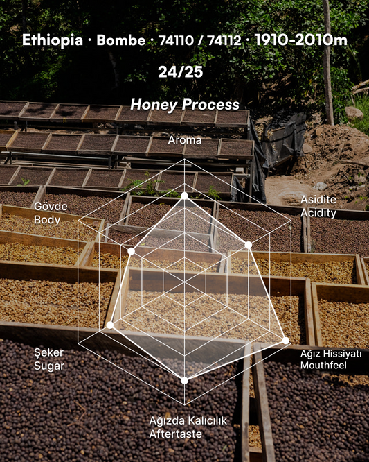 Qonqana Asefa Dukamo - Ethiopia