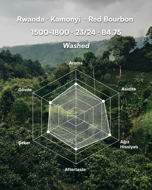 Women Coffee Extension (Organic) - Rwanda