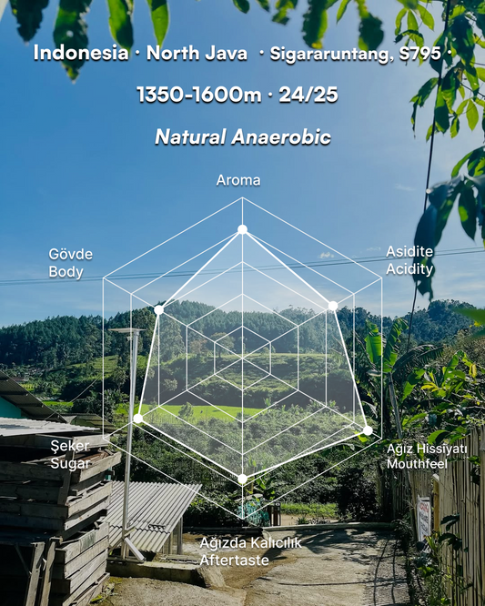 Java Halu Kartini - Indonesia