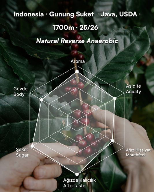 Mas Iyan Marabela - Indonesia 25/26