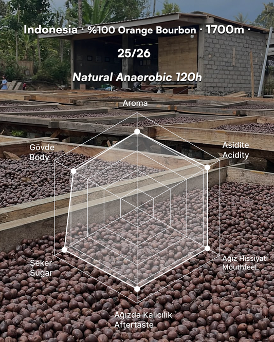 Mas Iyan Gigi Manis - Indonesia