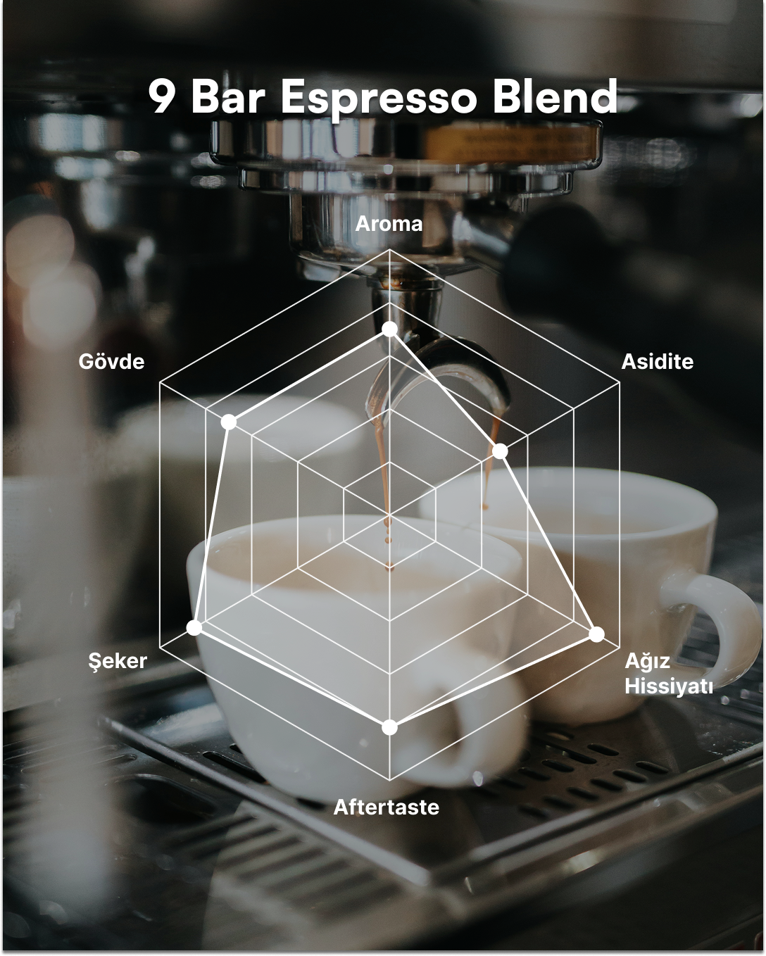 9 Bar - Espresso Blend