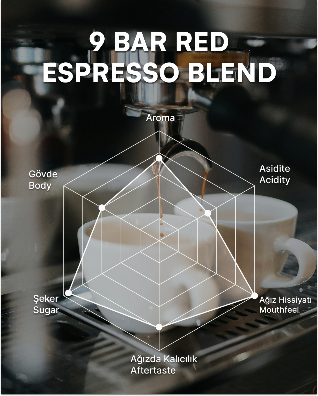 9 Bar Red - Espresso Blend