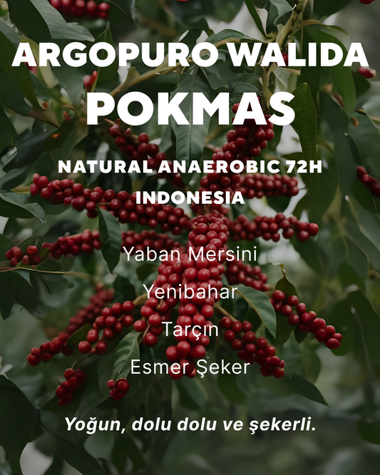 Argopuro Walida Pokmas - Indonesia