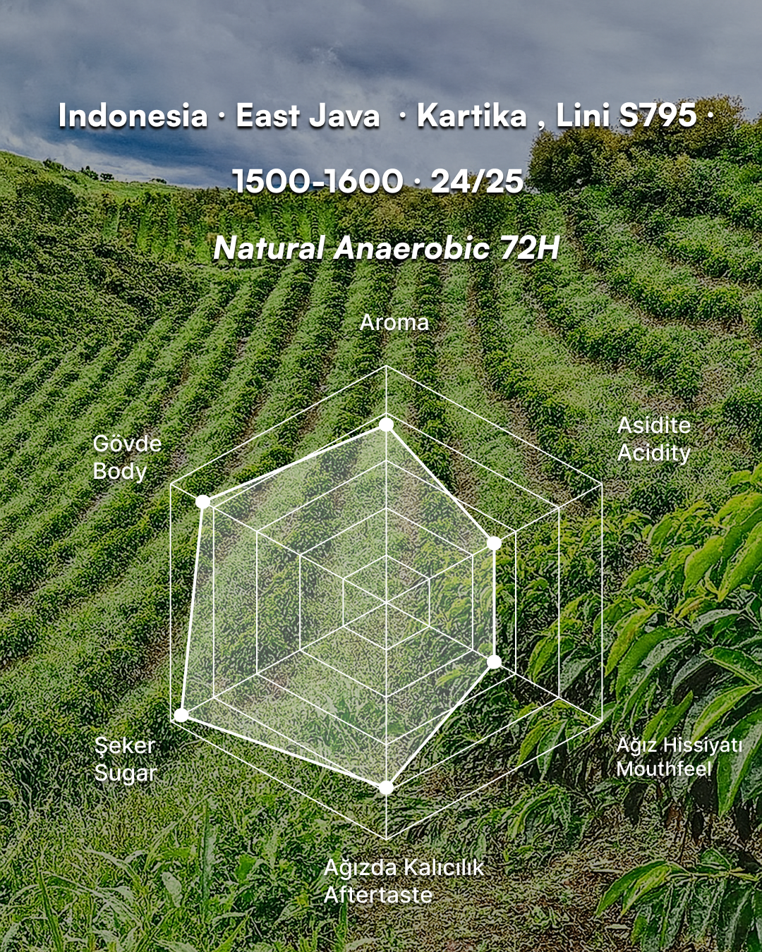 Argopuro Walida Pokmas - Indonesia