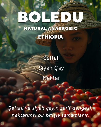 Boledu - Ethiopia