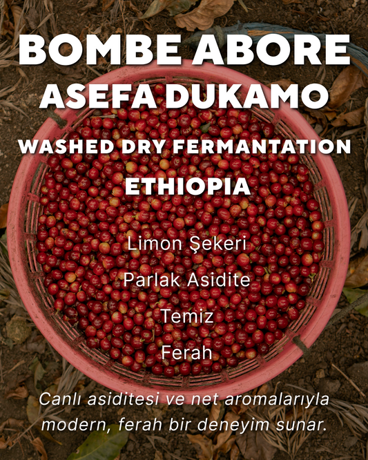 Bombe Abore Asefa Dukamo - Etiyopya
