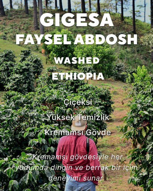Gigesa Faysel Abdosh - Etiyopya
