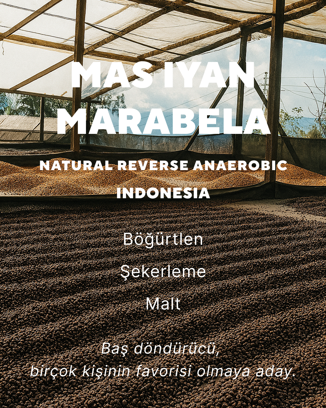 Mas Iyan Marabela - Indonesia