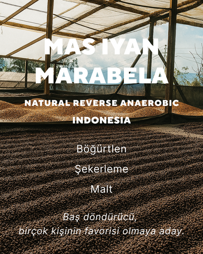 Mas Iyan Marabela - Indonesia
