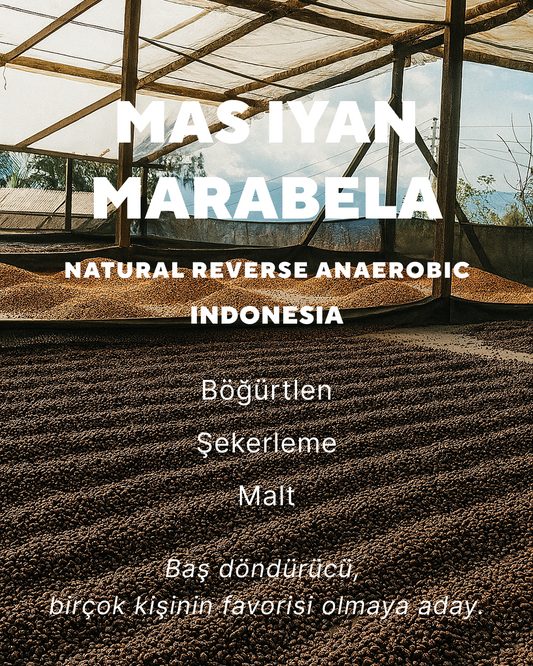 Mas Iyan Marabela - Indonesia