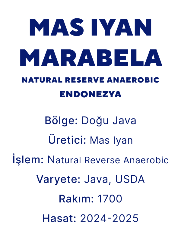 Mas Iyan Marabela - Endonezya