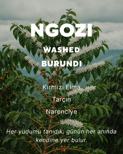 Ngozi - Burundi