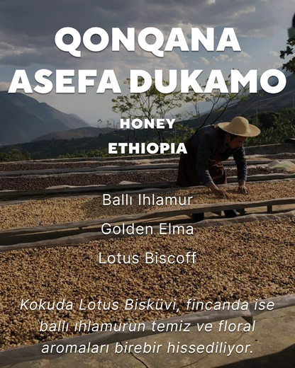 Qonqana Asefa Dukamo - Ethiopia