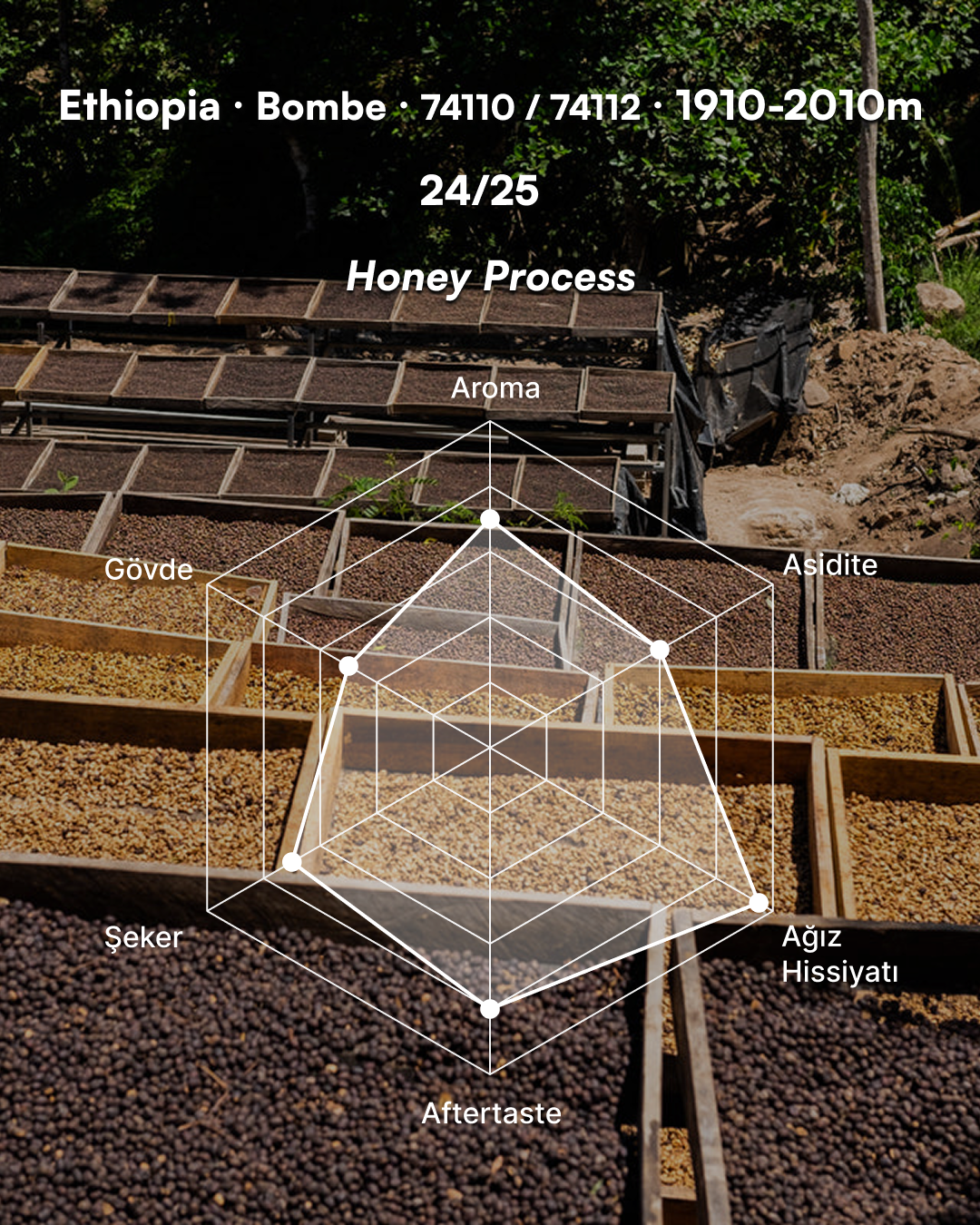 Qonqana Asefa Dukamo - Ethiopia