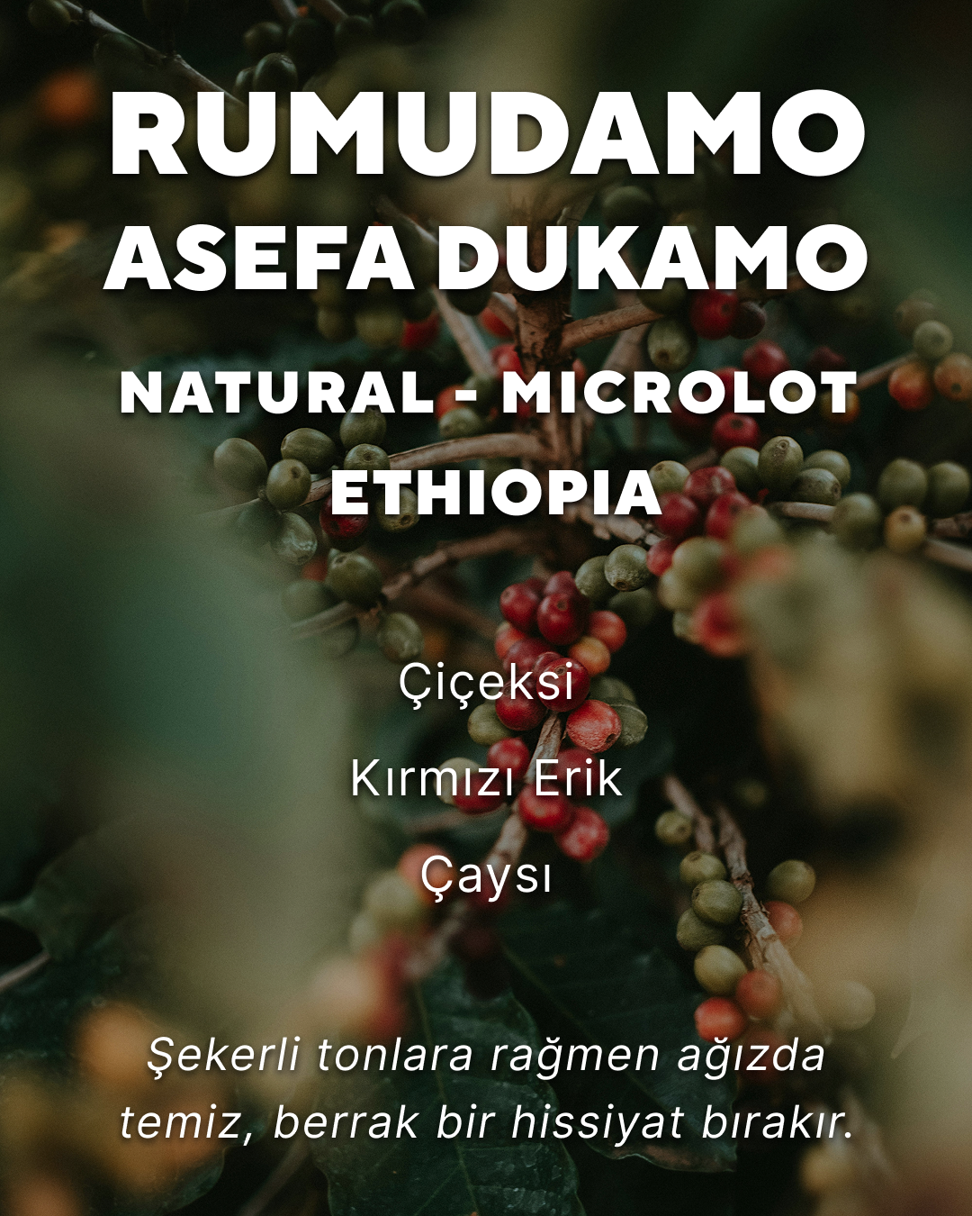 Rumudamo Asefa Dukamo - Etiyopya
