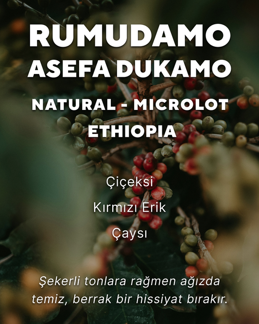 Rumudamo Asefa Dukamo - Etiyopya