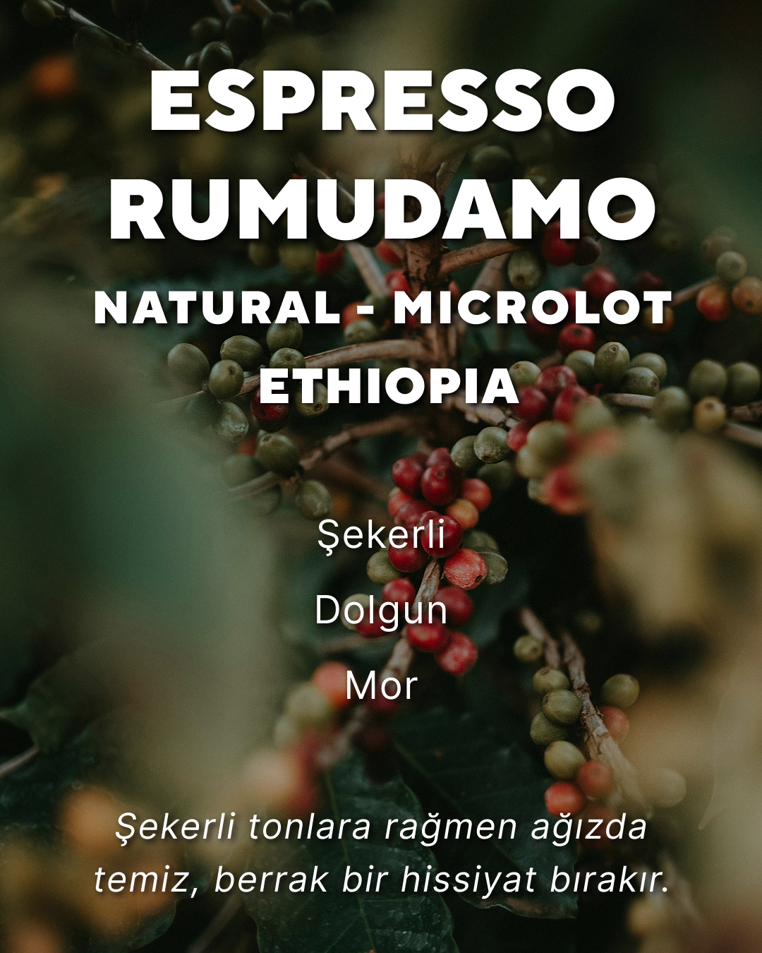 Espresso Rumudamo Asefa Dukamo - Etiyopya