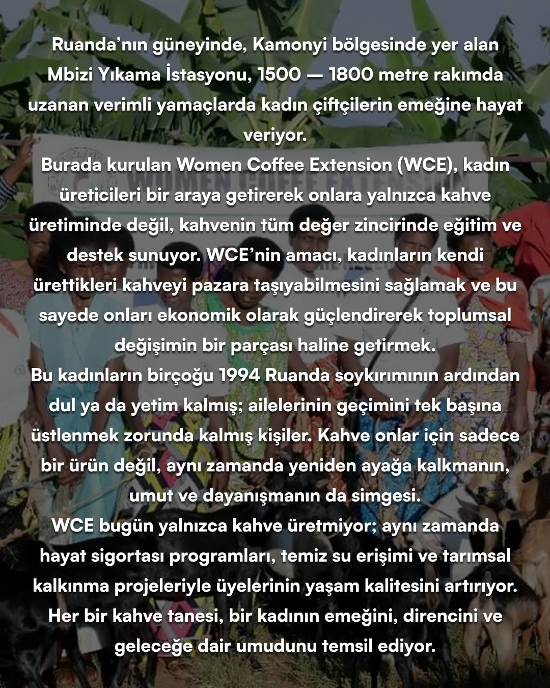 Women Coffee Extension (Organic) - Rwanda