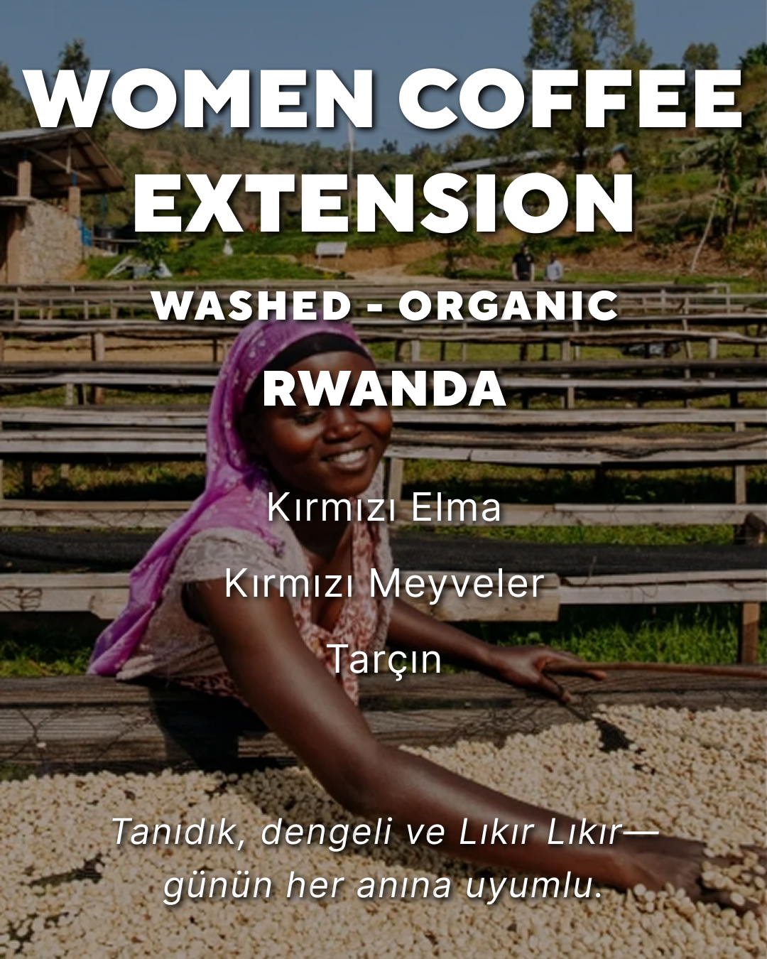 Women Coffee Extension (Organic) - Rwanda