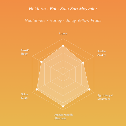 Tonbba · Etiyopya · Natürel